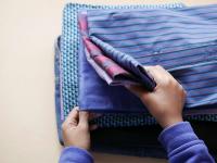 Puebla refuerza servicios de salud ante temporada de araña violinista