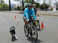 Re&uacute;ne Reciclat&oacute;n #PorAmorAPuebla2026 en V&iacute;a Recreativa Metropolitana a miles de poblanos