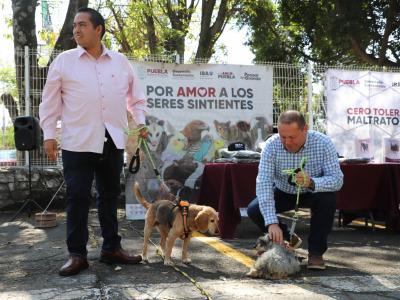 Fomentan Medio Ambiente y Bienestar Animal la adopción responsable