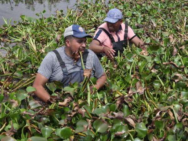 Inicia gobierno estatal saneamiento y reforestación de Laguna de Chignahuapan