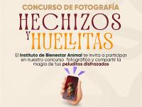 El Instituto de Bienestar Animal invita al concurso fotogr&aacute;fico &ldquo;Hechizos y Huellitas&rdquo;