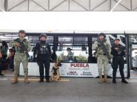 Reporta SSP la detenci&oacute;n de 109 personas en la &uacute;ltima semana