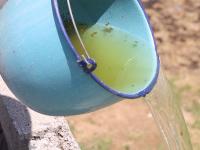 En Puebla, tres contagios por dengue en las &uacute;ltimas 24 horas: Salud