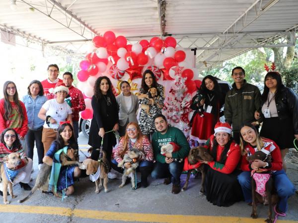 Campaña de Medio Ambiente y Bienestar Animal logra adopción de dos seres sintientes