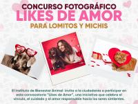 Instituto de Bienestar Animal lanza convocatoria para concurso fotogr&aacute;fico &ldquo;Likes del Amor&rdquo;