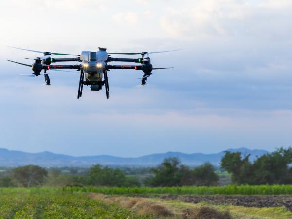 Drones agrícolas atienden de forma oportuna 60 hectáreas de caña en Tepeojuma