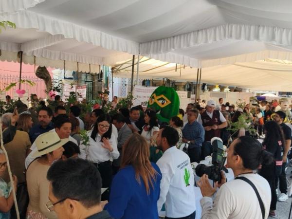 Se fortalece el tejido social con Feria de Paz en Tehuacán