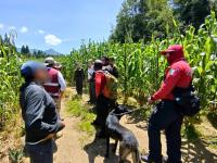 Contin&uacute;an acciones favorables en localizaci&oacute;n de personas