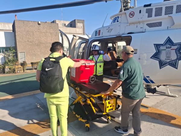 Gobierno Estatal coordina traslado aéreo de órganos para trasplante en CDMX