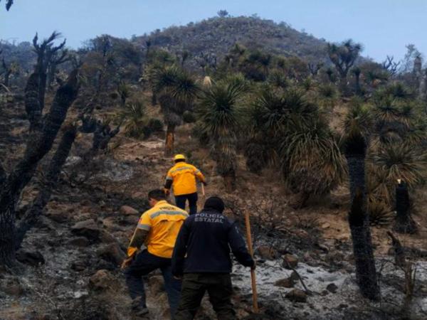 Coordinación interinstitucional fortalece combate a incendios forestales
