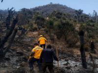 Coordinaci&oacute;n interinstitucional fortalece combate a incendios forestales