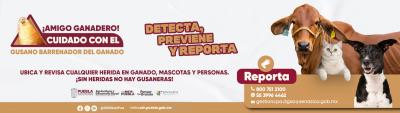 sdr gusano